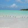 Mujadin Beach ISOLE TURKS E CAICOS 