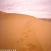Dune di Diwana LIBYAN ARAB JAMAHIRIYA 