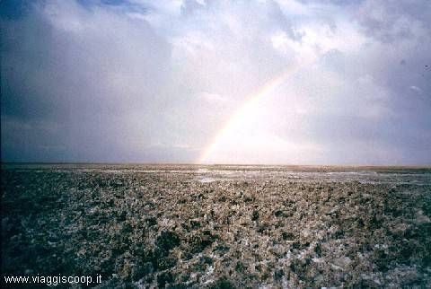 Deserto di Atacama