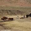 Pastori del Lesotho SUD AFRICA 