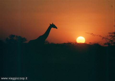 Safari fotografico, villaggi Himba, deserto ed altro