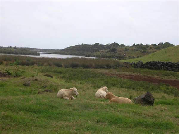 Isola di Sao Jorge 3