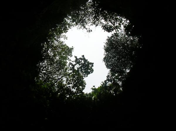 Algar do carvao