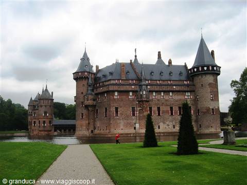 Haar
