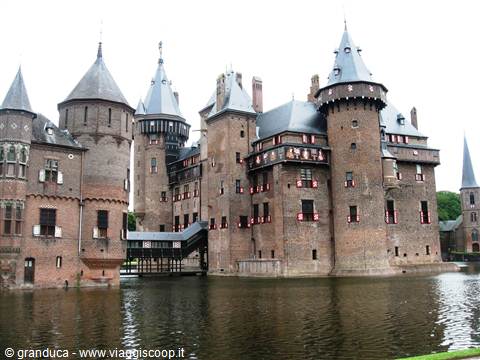 Haar