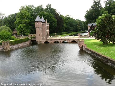 Haar