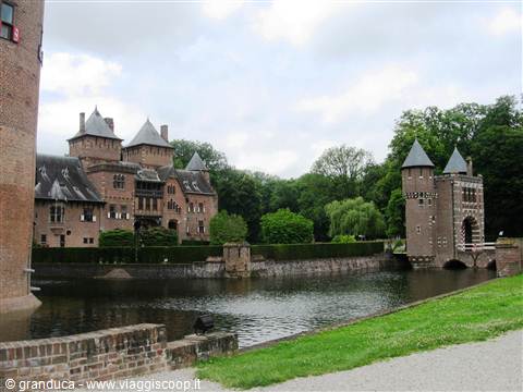 Haar