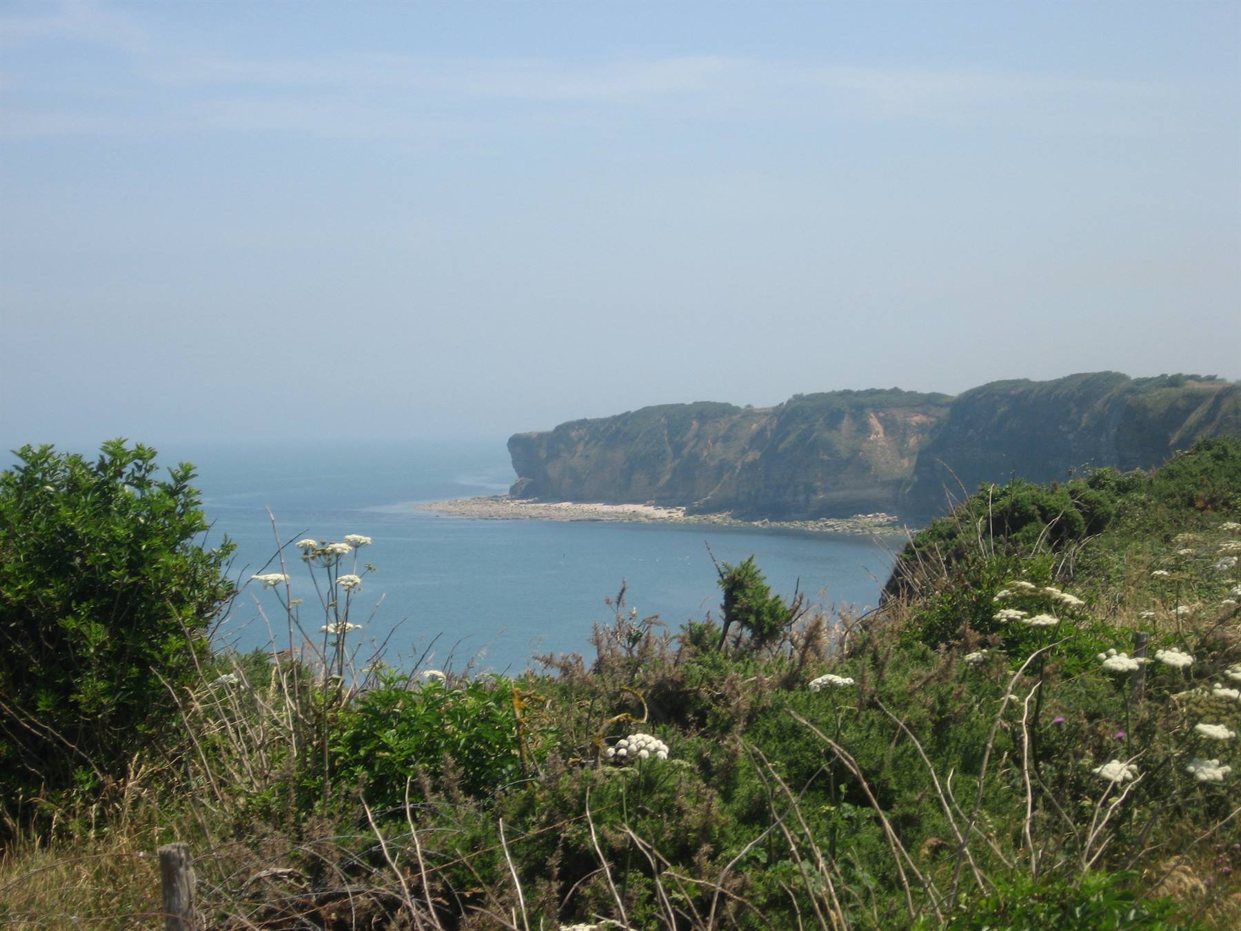 Cespugli e fiori selvatici davanti alle falesie di Pointe du Hoc, Normandia