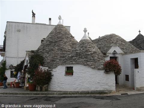 Alberobello : trullo in fiore