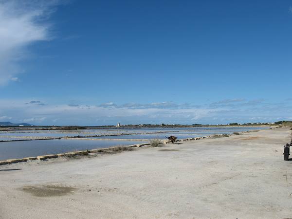 Mozia :le saline
