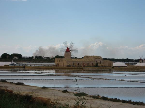 Mozia :le saline