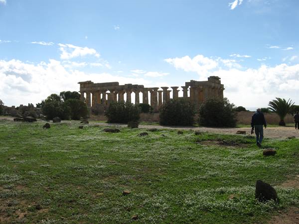 Selinunte : Tempio fra il verde