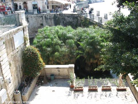 Siracusa:la fonte Aretusa