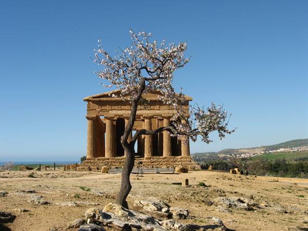 Tempio della Concordia
