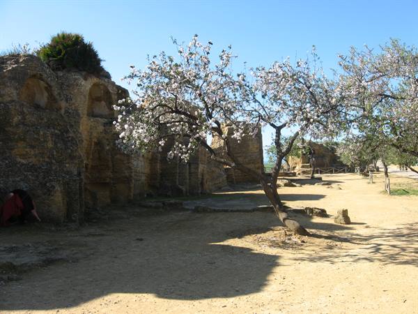 la Necropoli