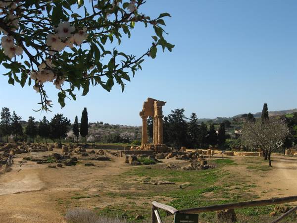Il Tempio dei Dioscuri
