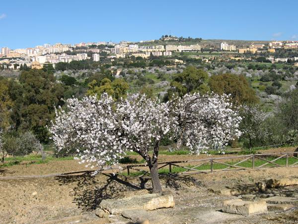 Agrigento