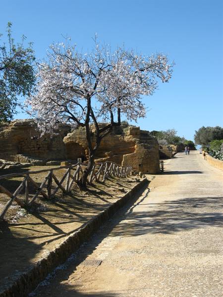 Via dei Templi