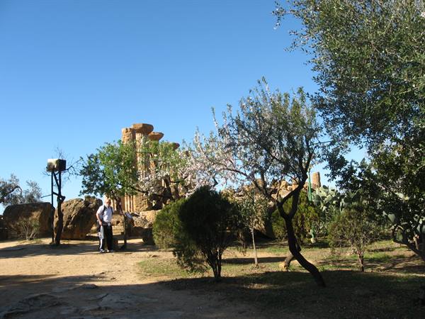 Tempio di Ercole