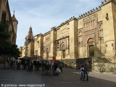 la mezquita