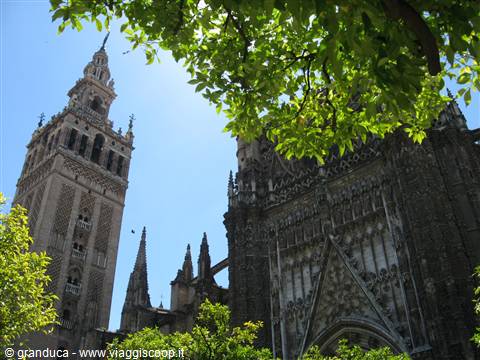 la cattedrale e la Giralda