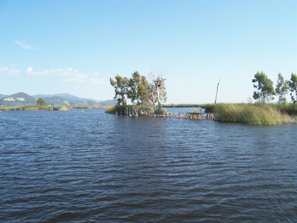 Lago massacuiccoli oasi naturalistica
