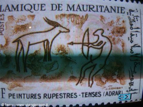 Museo Terra Amata