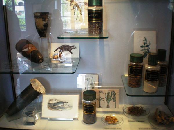 interno museo profumi
