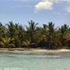 sfondo spiaggia saona REPUBBLICA DOMINICANA 