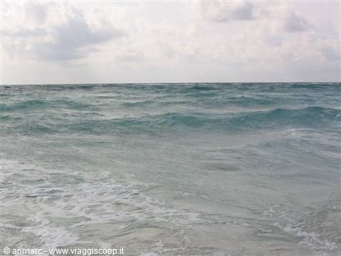 oggi niente bagno