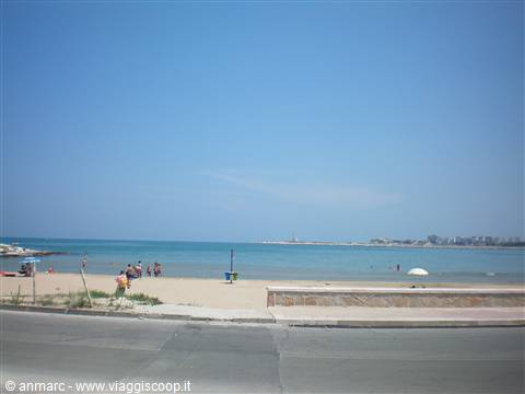 vieste