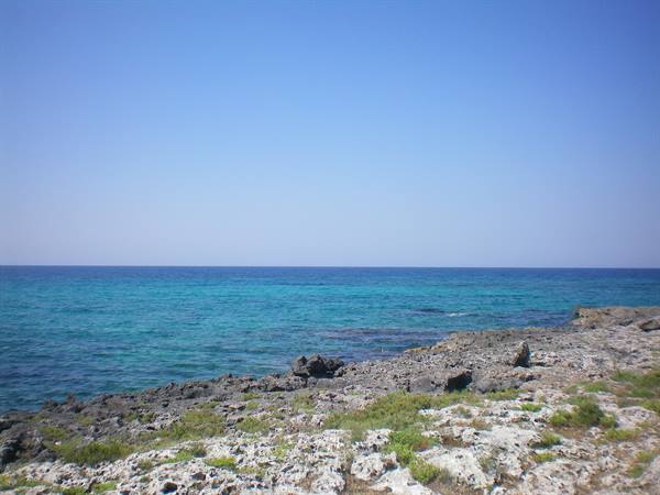 da punta Prosciutto