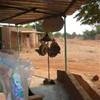  BURKINA FASO 