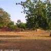  BURKINA FASO 