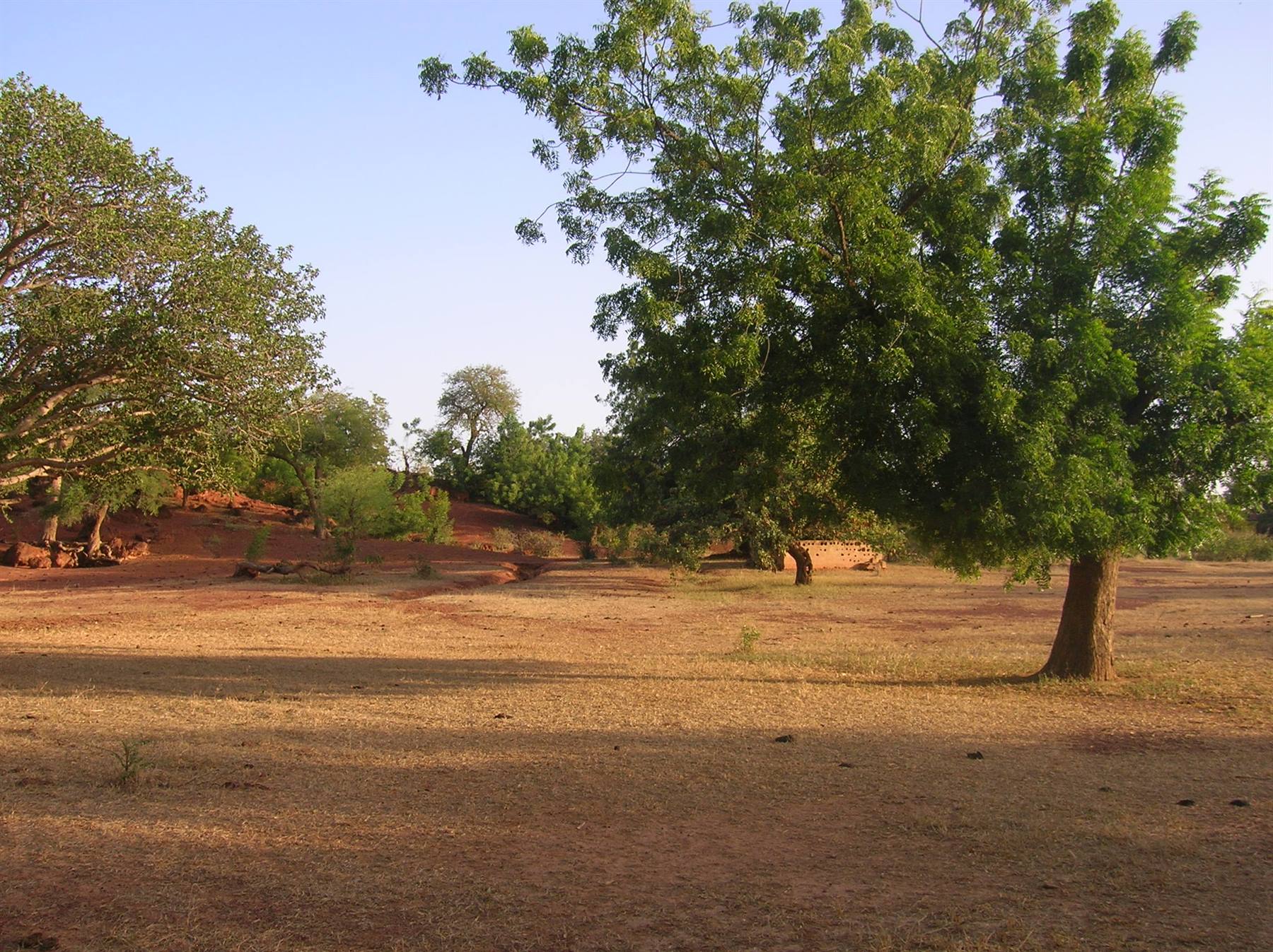 Foto di viaggio in BURKINA FASO