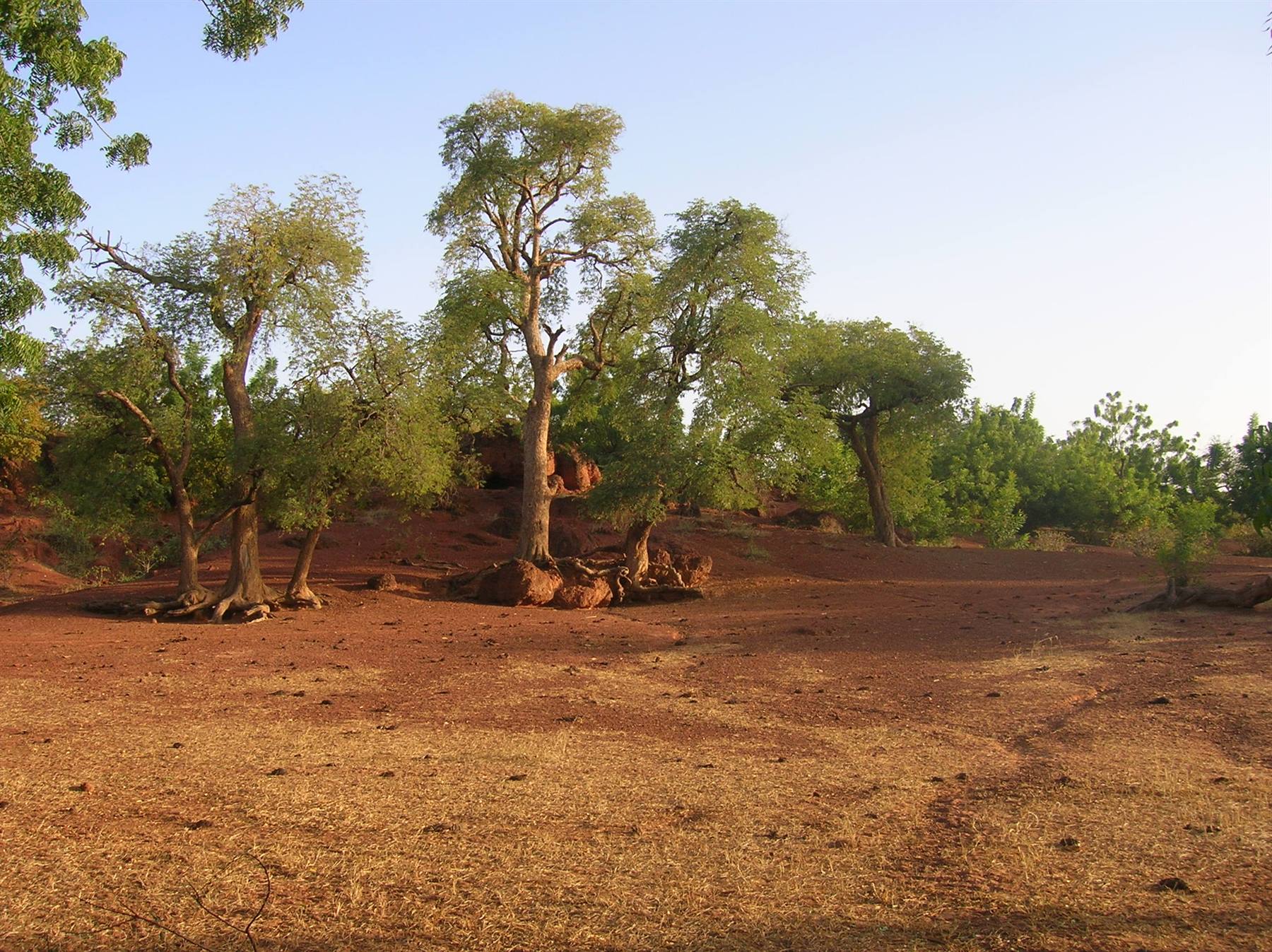 Foto di viaggio in BURKINA FASO