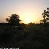  BURKINA FASO 