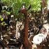  BURKINA FASO 