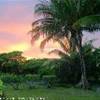  POLINESIA FRANCESE 