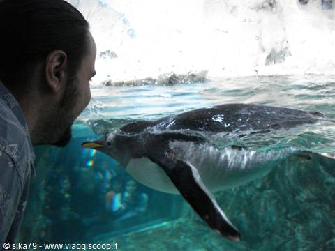 Acquario di Genova