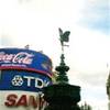 PICCADILLY CIRCUS REGNO UNITO 