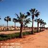  LIBYAN ARAB JAMAHIRIYA 
