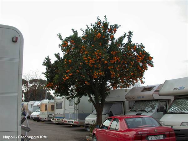 Napoli - Parcheggio IPM
