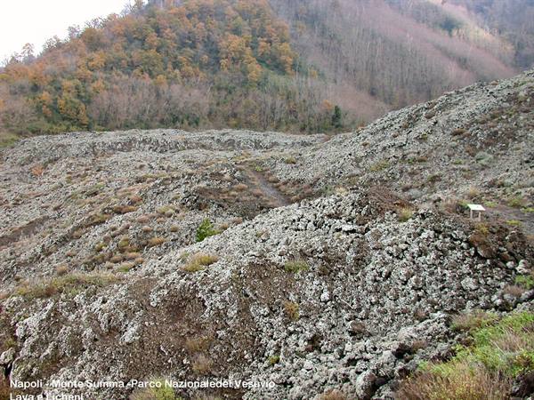 Napoli - Monte Summa - Lava e Licheni
