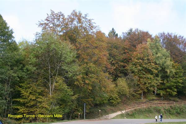 Recoaro Terme - Recoaro Mille