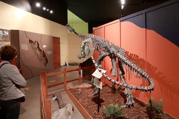 Dinosaur Journey Museum