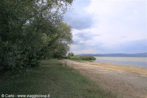 Vacanze sul Lago Trasimeno