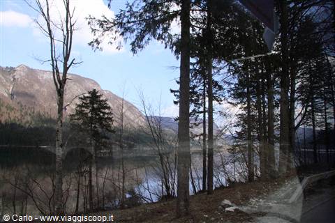 Lago di Bohinj