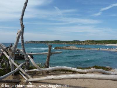 Cala Majore