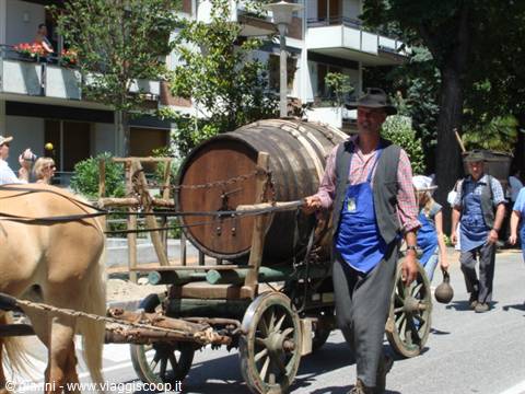 Sfilata per le vie di Merano 5